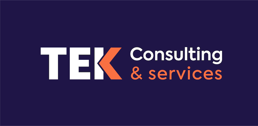 infographie TEK Consulting